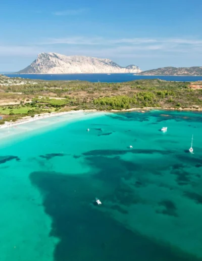 CAPO CODA CAVALLO